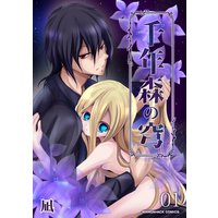 千年森の穹