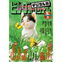 ビッグコミックオリジナル増刊