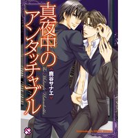 真夜中のアンタッチャブル