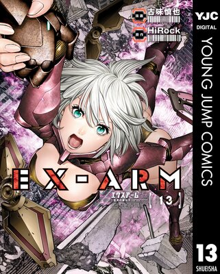 EX-ARM ������������ 13