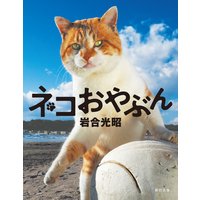 岩合光昭 写真集 「ネコおやぶん」