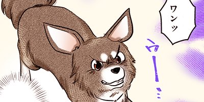 ���ˤʤä����ɷ��������Ƥ� 7�ڥե륫�顼��