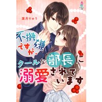 不機嫌ですが、クールな部長に溺愛されています