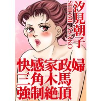 快感家政婦 三角木馬強制絶頂