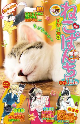 ねこぱんち No.154 星祭り猫号