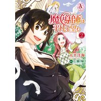 魔導師は平凡を望む 2