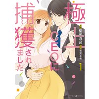 極上CEOに捕獲されました