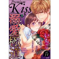 Premium Kiss Vol.11
