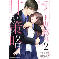エリート専務の甘い策略2巻