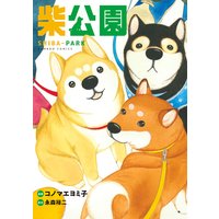 柴公園
