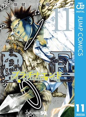 �ץ���ʥ���� 11