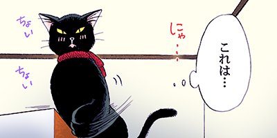 ���������ǭ�Ⱦ��� 4�ڥե륫�顼��