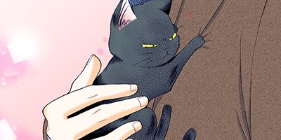 ���������ǭ�Ⱦ��� 6�ڥե륫�顼��