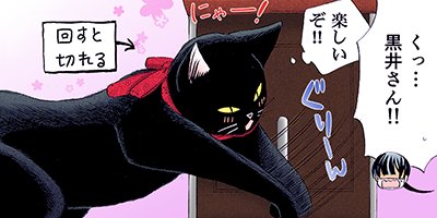 ���������ǭ�Ⱦ��� 11�ڥե륫�顼��