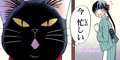 ���������ǭ�Ⱦ��� 21�ڥե륫�顼��