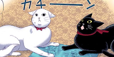 ���������ǭ�Ⱦ��� 25�ڥե륫�顼��