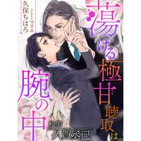 蕩ける極甘聴取は腕の中〜検事 久賀丞已〜