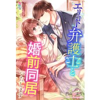 エリート弁護士と婚前同居いたします