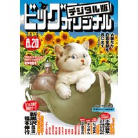 ビッグコミックオリジナル