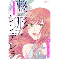 整形シンデレラ 16