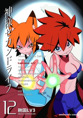 神様セカンドライフ第12巻