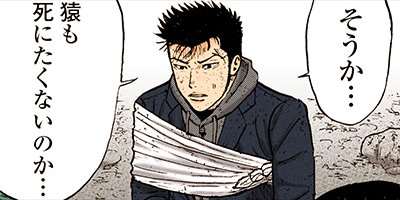 ��󥭡��ԡ��� 65�ڥե륫�顼��