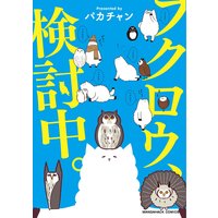 フクロウ、検討中。