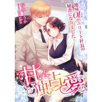 甘い独占愛 〜地味OLがエリート社長の秘書になりました〜