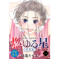 燃ゆる星 新訳・与謝野晶子 プチキス