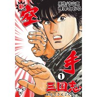 新空手三国志【分冊版】