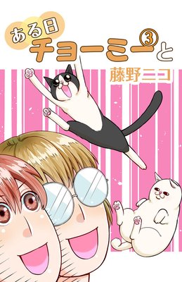ある日チョーミーと 3巻