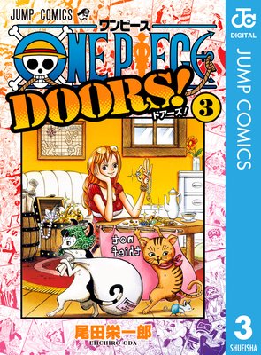 ONE PIECE DOORS!