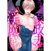 うちの家政夫が淫魔かもしれない3