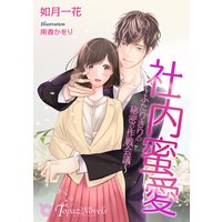社内蜜愛〜ふたりきりの秘密の作戦会議〜【書下ろし・イラスト10枚入り】
