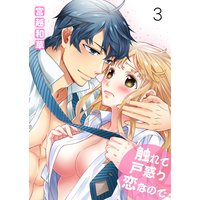 触れて戸惑う恋なので 第三巻 ドキドキしちゃう!?