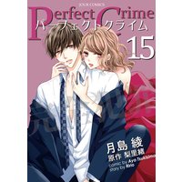 Perfect Crime 15