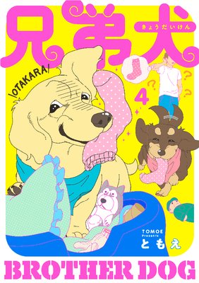 ���︤ 4��