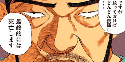 �֥�å�����å��ˤ������ 31�ڥե륫�顼��