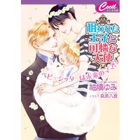狙われた王子と可憐な天使 〜 ベビーシッターは未来のママ!? 〜