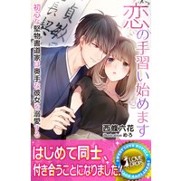 恋の手習い始めます 初心な堅物書道家は奥手な彼女を溺愛する