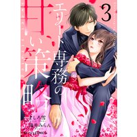 エリート専務の甘い策略3巻