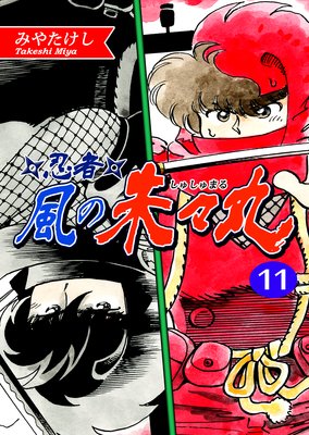 Ǧ�ԡ����μ롹�ݡ�11�ˡڥե륫�顼����21�á���22�á�