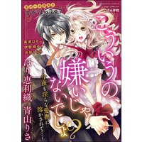こういうの、嫌いじゃないでしょ? 〜今夜も淫らな愛撫に溶かされて…〜