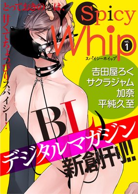 Spicy Whip vol.1