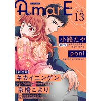 AmarE vol.13【再編集版】