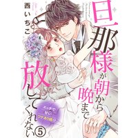 旦那様が朝から晩まで放してくれない〜エッチで甘いワケあり婚!?(5)