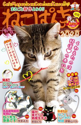 ねこぱんち No.161 猫チョコ号