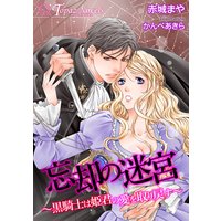 忘却の迷宮〜黒騎士は姫君の愛を取り戻す〜【書き下ろし・イラスト5枚入り】