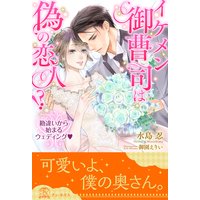 【全1−6セット】イケメン御曹司は偽の恋人!? 勘違いから始まるウェディング【イラスト付】