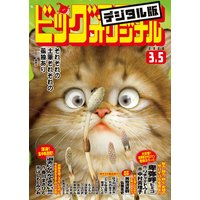 ビッグコミックオリジナル